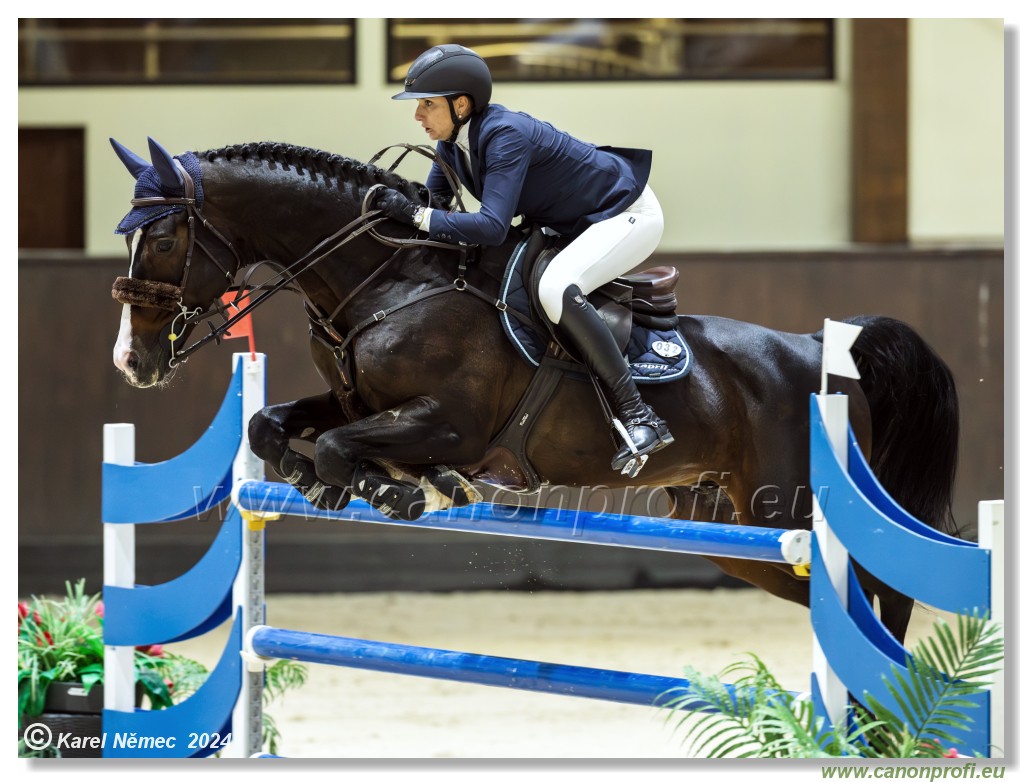 Gold Tour Grand Prix 150 cm