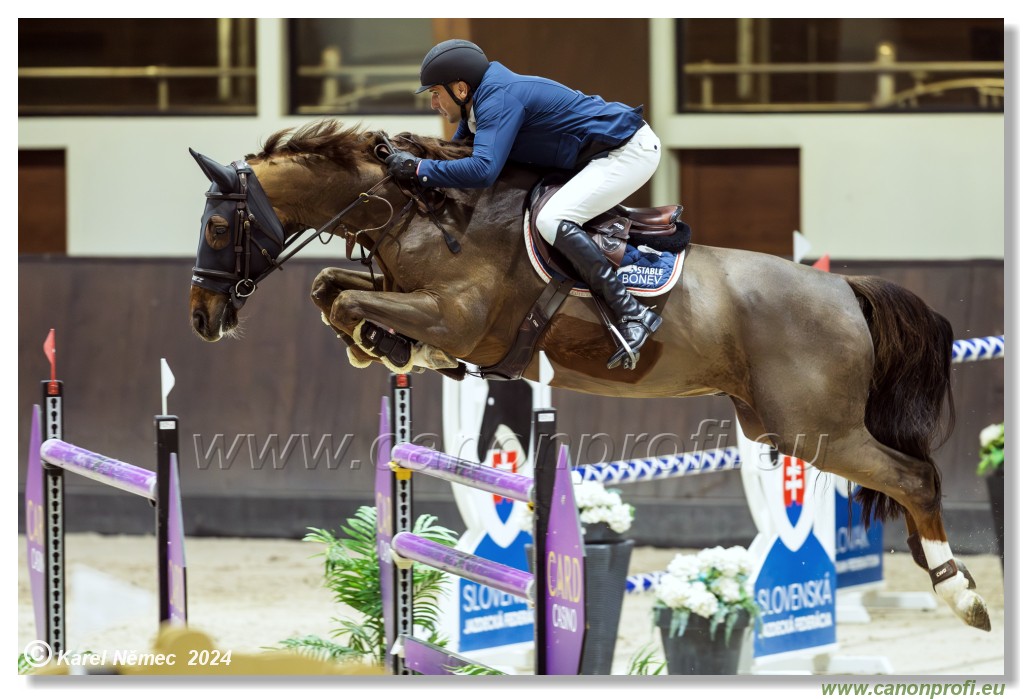 Gold Tour Grand Prix 150 cm