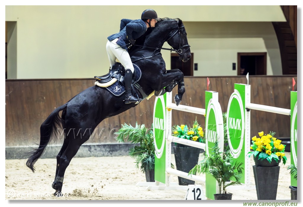 Gold Tour Grand Prix 150 cm