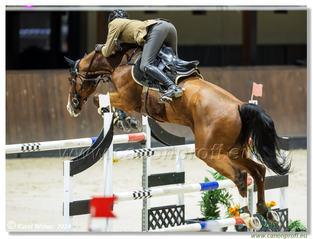 Gold Tour Grand Prix 150 cm