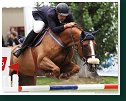 VIKING VAN DEN DAEL - NIEVES Primitivo, ESP