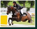 GOSBODINO 2 - WERNKE Jan, GER