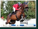 RAMEXCO - VAN DIJCK Sven, BEL 