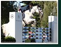 SILVER SHADDOW DE DAVI - TALBOT Ben, GBR - 155 cm