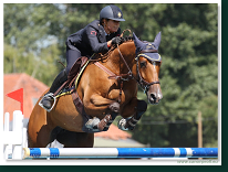 Little Prix Bratislava