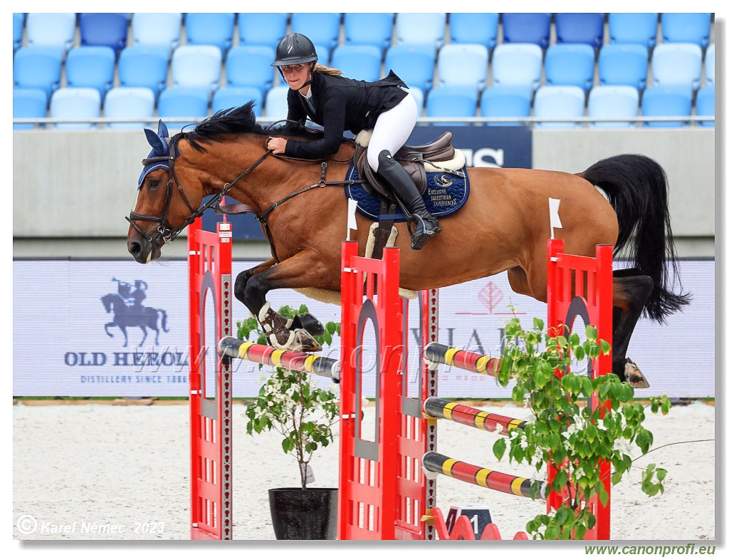 Danube Equestrian Festival - CSIO1* - Big Tour