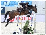 Danube Equestrian Festival - CSIO1* - Big Tour
