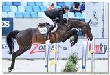 Danube Equestrian Festival - CSIO1* - Big Tour