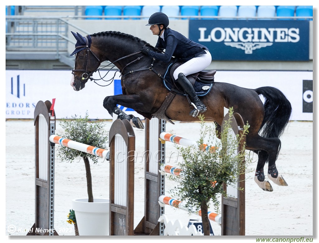 Danube Equestrian Festival - CSIO3* - Grand Prix of Bratislava