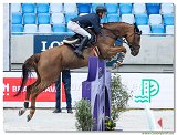 MarvinJngel, GER - Balou's Erbin 