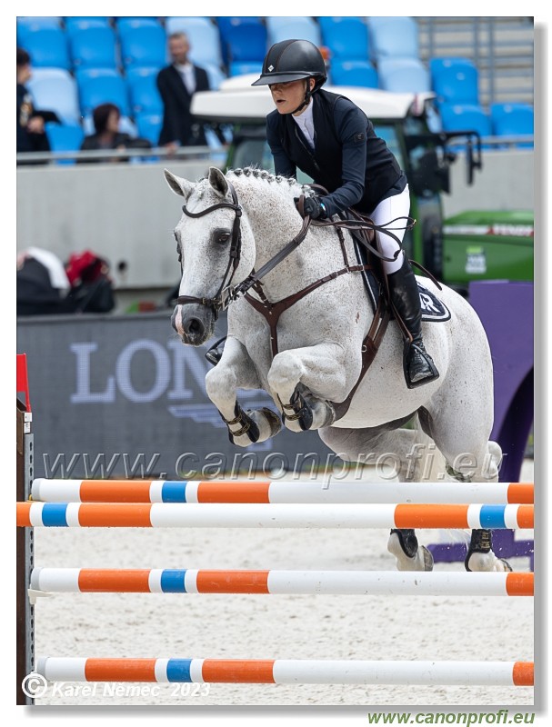 Danube Equestrian Festival - CSIO3* - Silver Tour