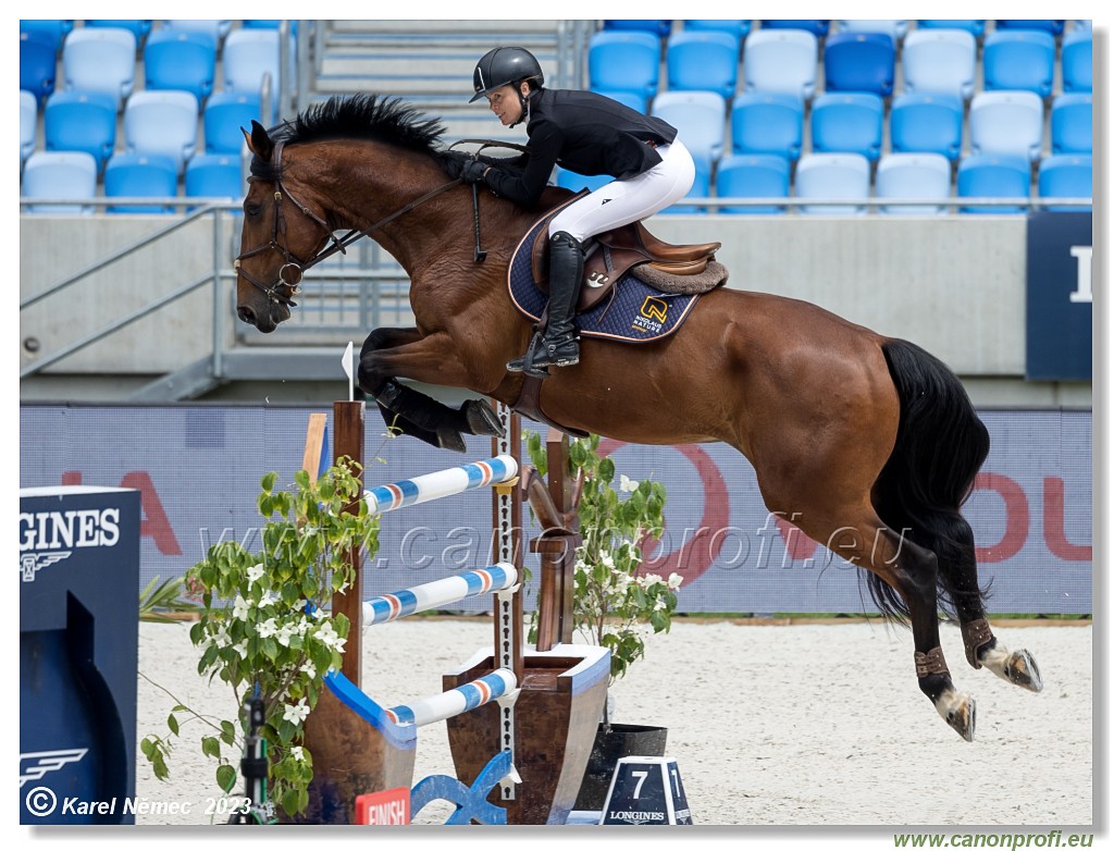 Danube Equestrian Festival - CSIO3* - Silver Tour