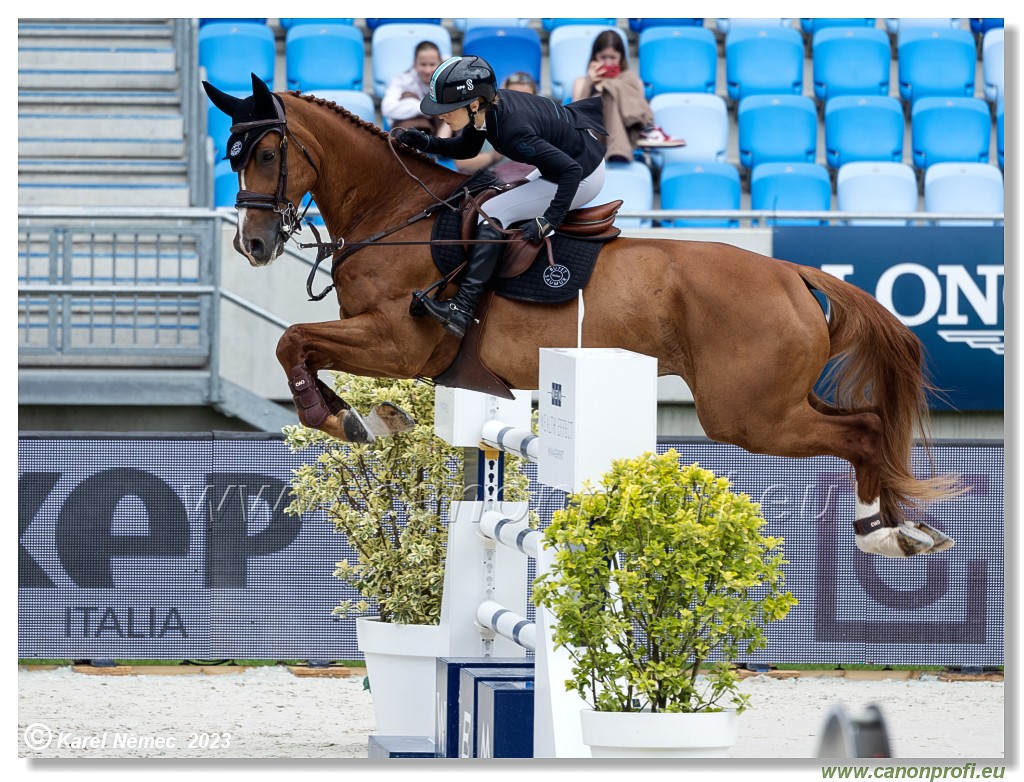 Danube Equestrian Festival - CSIO3* - Silver Tour