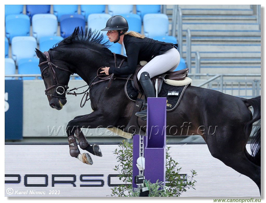 Danube Equestrian Festival - CSIYH1* - 6/7 Youngster Tour