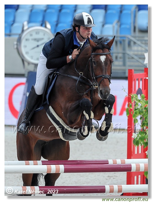 Danube Equestrian Festival - CSIYH1* - 6/7 Youngster Tour