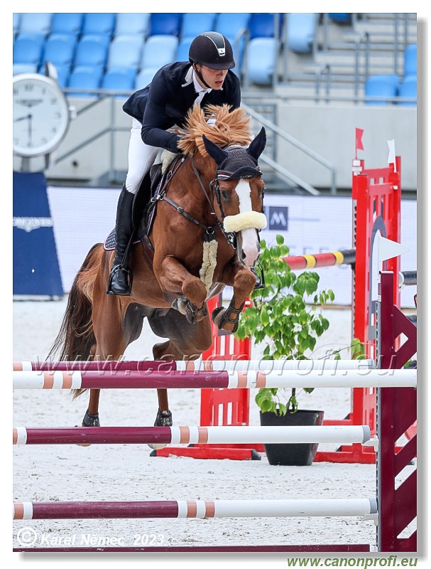 Danube Equestrian Festival - CSIYH1* - 6/7 Youngster Tour