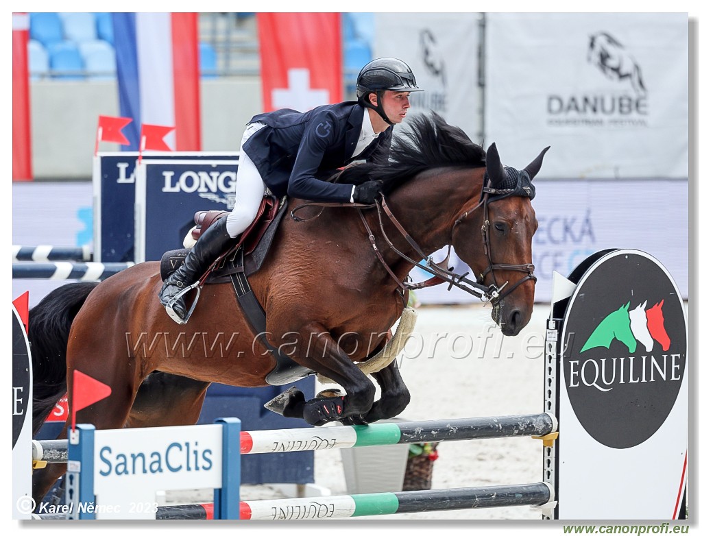 Danube Equestrian Festival - CSIYH1* - 6/7 Youngster Tour