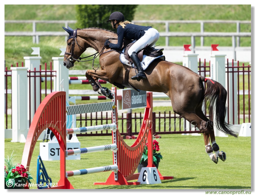 CSI 2*- Gold Tour Final  Grand Prix - 145 cm