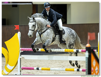 amorn - Winter Masters Series - Accumulator Competition L with Jocker - 120 cm