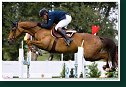 VADETTA VH METTENHOF - PHILIPPAERTS Ludo, BEL