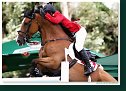 LADY D II - CROTTA Fabio, SUI
