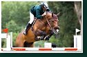 OLIBERO - LUYCKX Charles, RSA