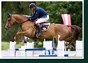 VADETTA VH METTENHOF - PHILIPPAERTS Ludo, BEL