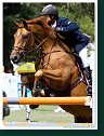 DONKOSACK - SUGITANI Taizo, JPN