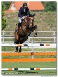 Radovan Sillo, SVK - Hertog 