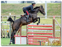 Danube Champions Tour - CSI3* - Silver Tour-Derby - 1.45 m