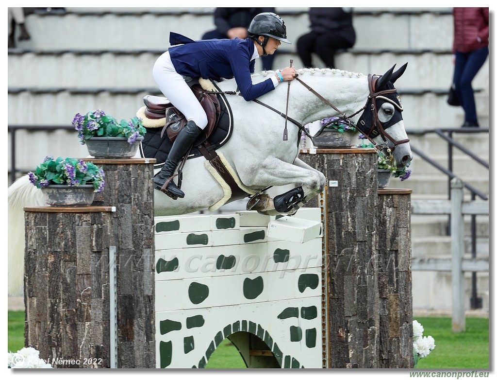 Danube Champions Tour - CSI3* - Silver Tour-Derby - 1.45 m