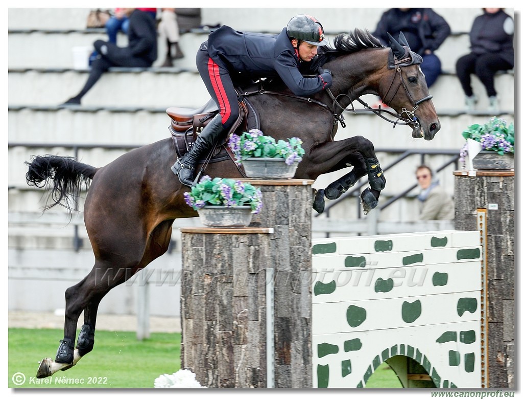 Danube Champions Tour - CSI3* - Silver Tour-Derby - 1.45 m