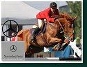 RINGO D - Van Viaendern Lennart