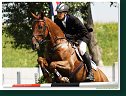 TORRERO - Kivisild Tiit
