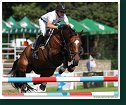 VALIZE VAN KOEKENHUYZE - Van Vlaendern Lennart