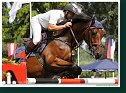 ORLANDO - Sillo Radovan