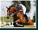 PUERTO RICO 42 - Beletskiy Vladimir