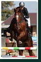FARMER CUP juniori VII. kolo - do 120cm