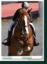 FINÁLE EQUITO CUP juniori 2009