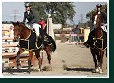 FINÁLE EQUITO CUP juniori 2009