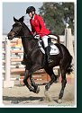FINÁLE EQUITO CUP juniori 2009