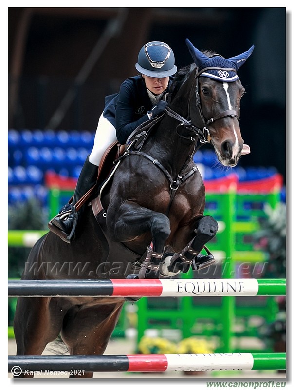 amorn - CSI2* Competition in 2 phases - 1.40/1.45