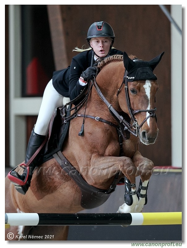 amorn - CSI2* Competition in 2 phases - 1.40/1.45