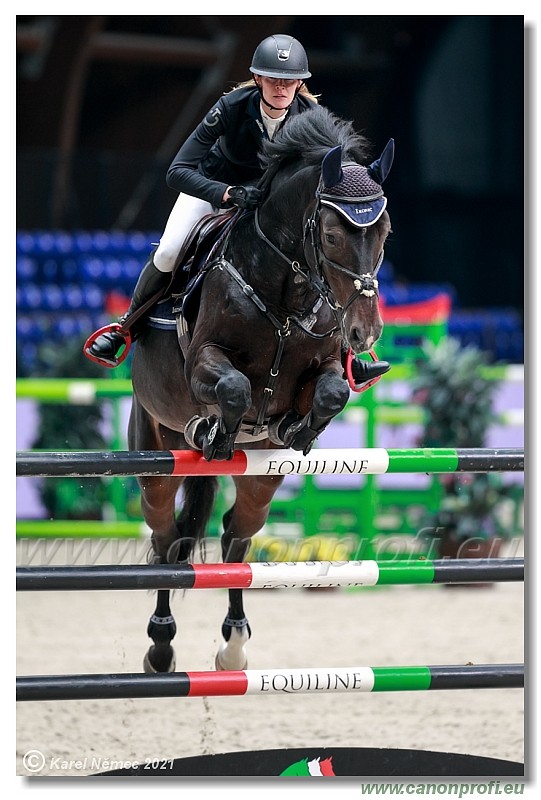 amorn - CSI2* Competition in 2 phases - 1.40/1.45