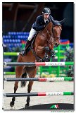 SAMUEL HUTTON, GBR - NICE GIRL DE MUZE Z 