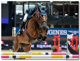 MARLON MDOLO ZANOTELLI, BRA - LIKE A DIAMOND VAN HET SCHAECK 