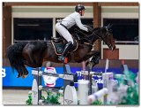 NICOLA PHILIPPAERTS, BEL - KATANGA V/H DINGESHOF 