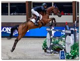 MARLON MDOLO ZANOTELLI, BRA - LIKE A DIAMOND VAN HET SCHAECK 