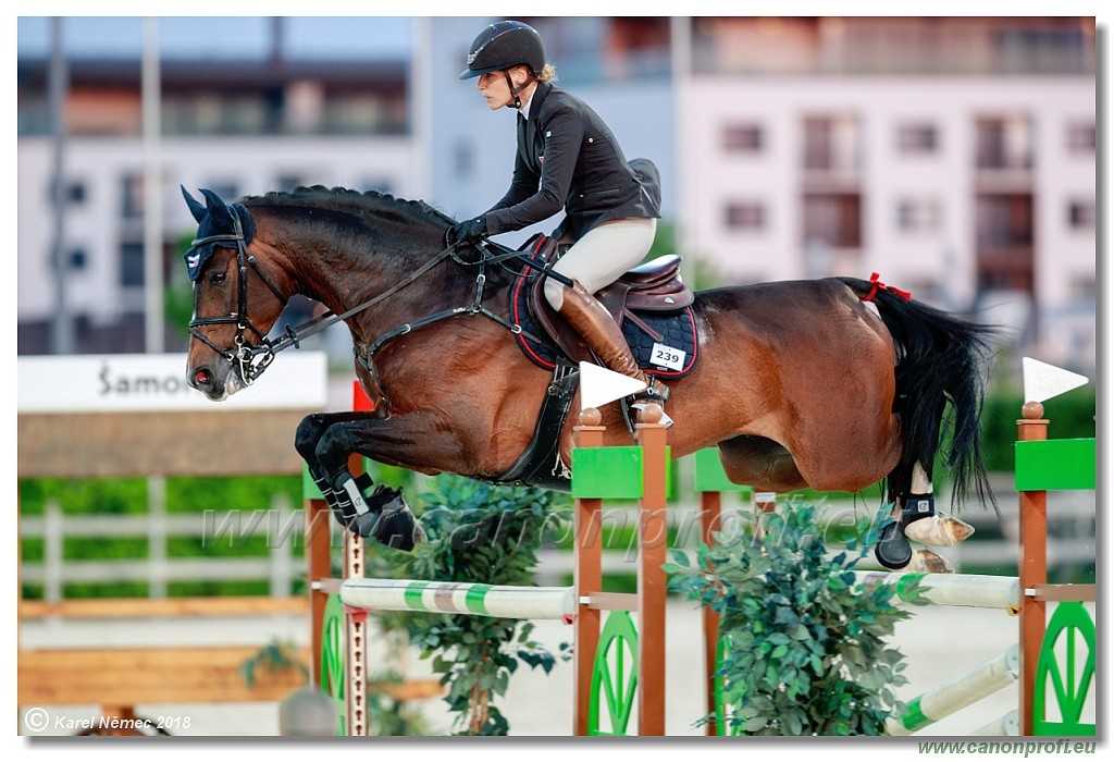 amorn - CSI2* Grand Prix - 145 cm