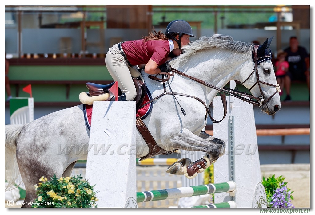Rozlka Grand Prix 16th June 2018 - 120 cm